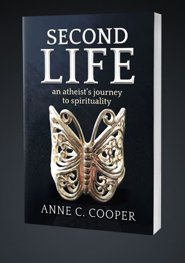 Buy the Second Life Book